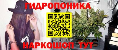 дживик Гусиноозёрск