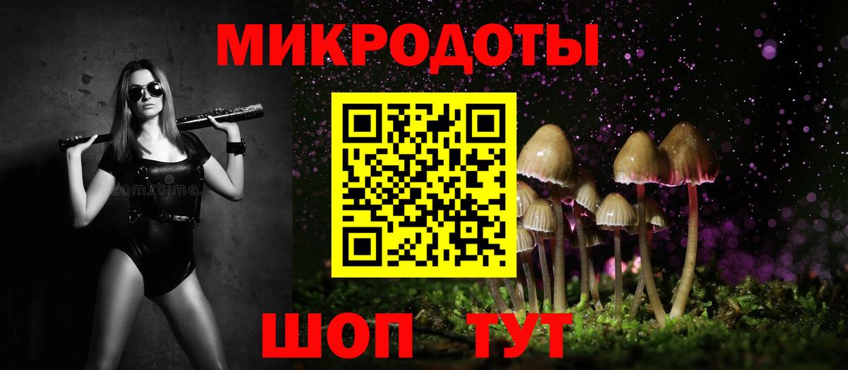 хочу наркоту  Вход с VPN  Трёхгорный  Псилоцибиновые грибы Psilocybe  Псилоцибиновые грибы прущие грибы 